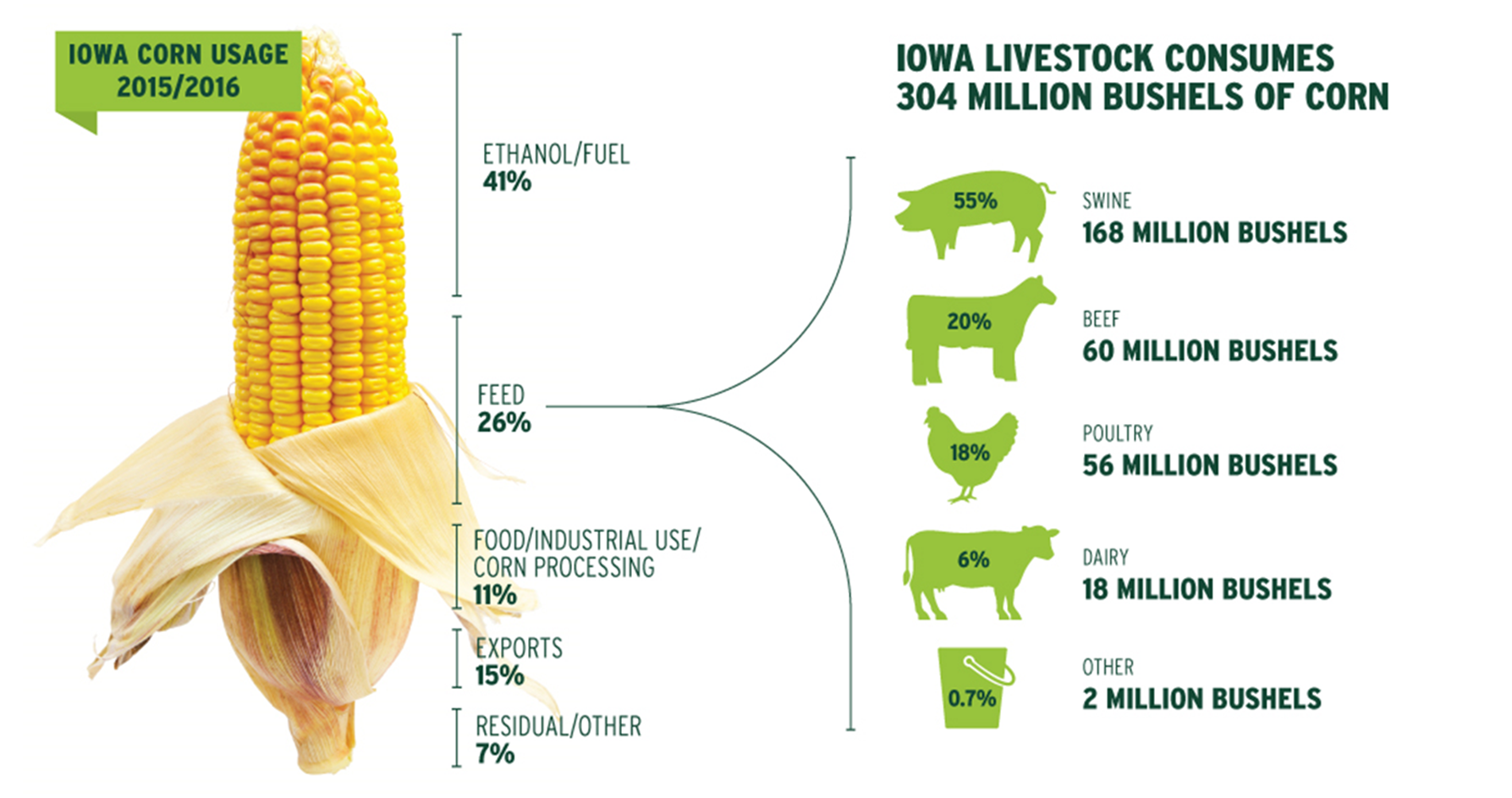 How is Iowa Corn used? 