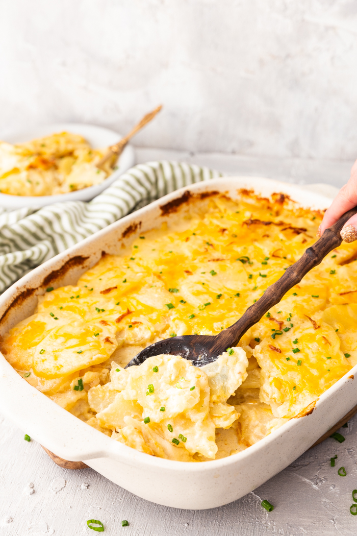 Easy scalloped or au gratin potatoes, these potatoes are loaded with cheese and creamy sauce and baked to perfection