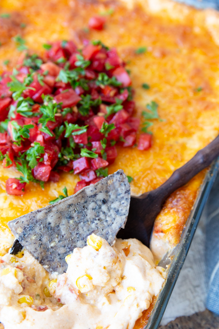 Cheesy corn dip in a big casserole dish, with tortilla chips, topped with tomatoes and cilantro. 