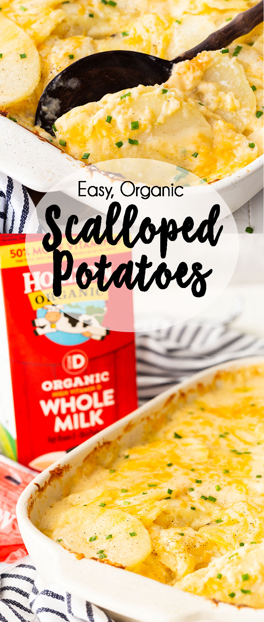Easy organic scalloped potatoes