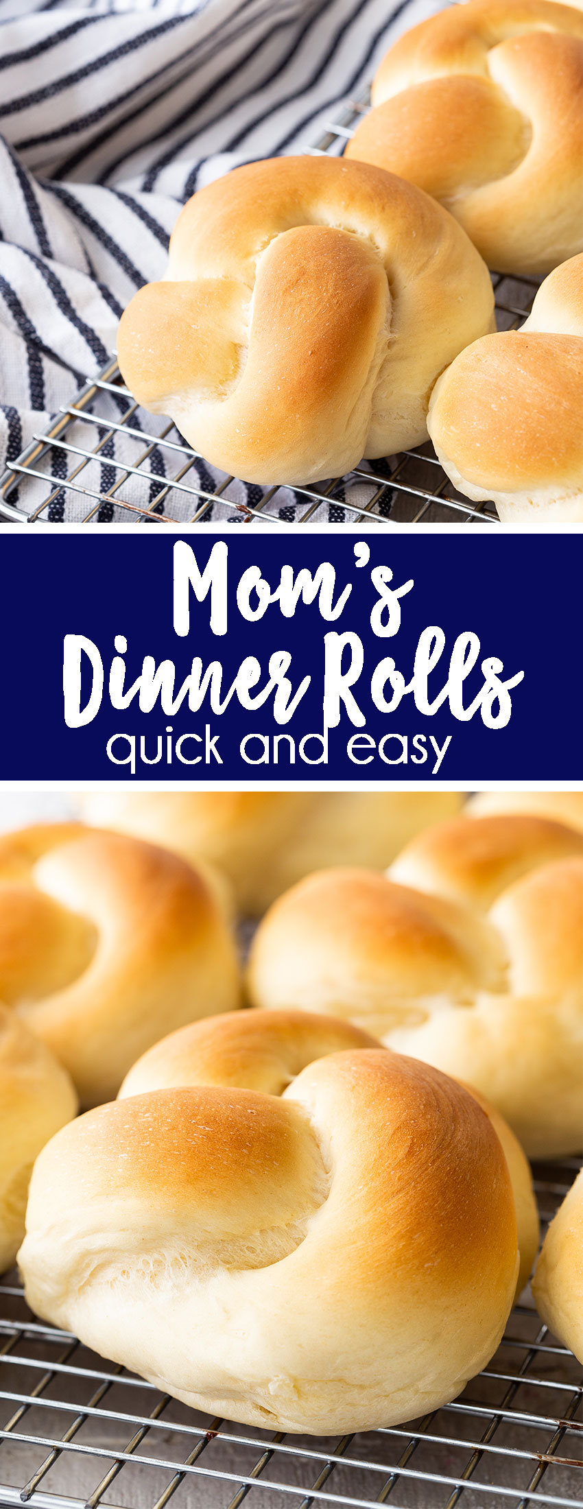 Dinner Rolls are the best thing you will have on your Thanksgiving table, you are going to love it. 