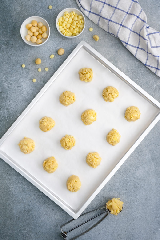 A tray full of unbaked white chocolate macadamia nut cookies