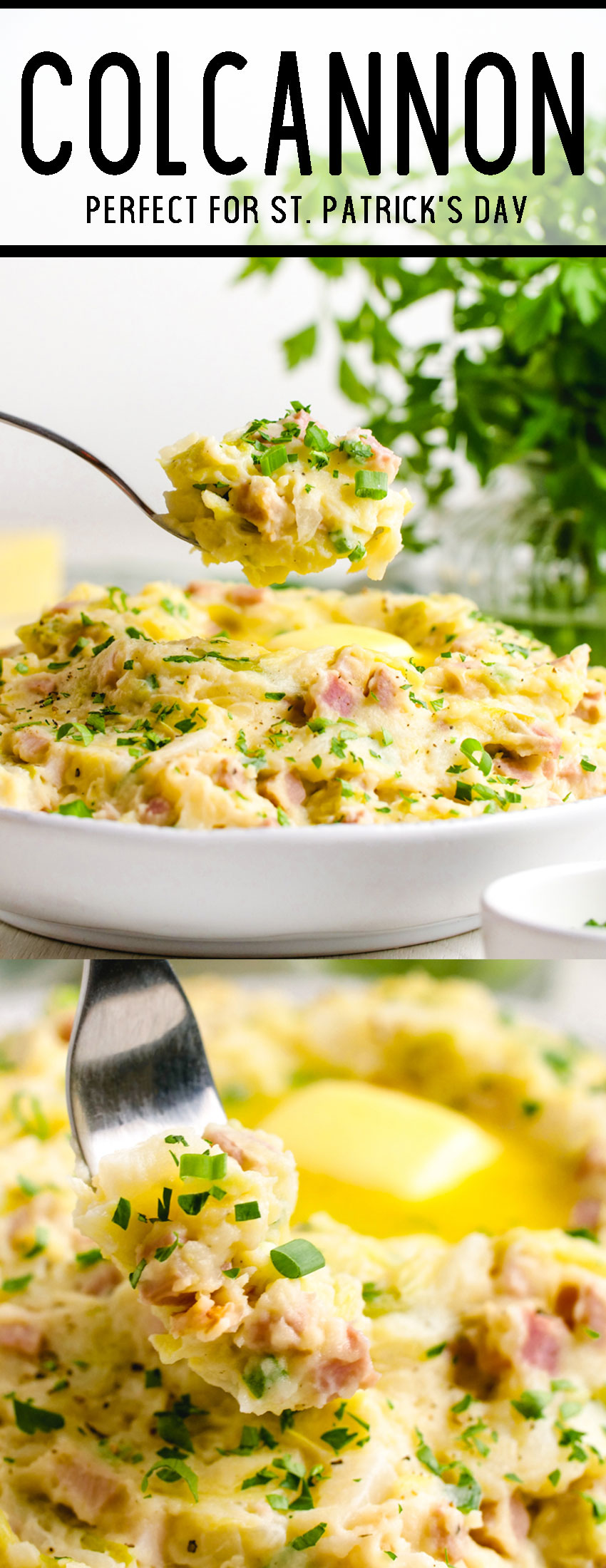 Creamy and richly seasoned mashed potatoes studded with cabbage and ham. This is amazing! 
