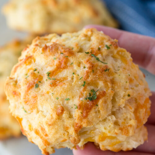 https://www.eazypeazymealz.com/wp-content/uploads/2020/04/Cheddar-Bay-Biscuits-12-500x500.jpg