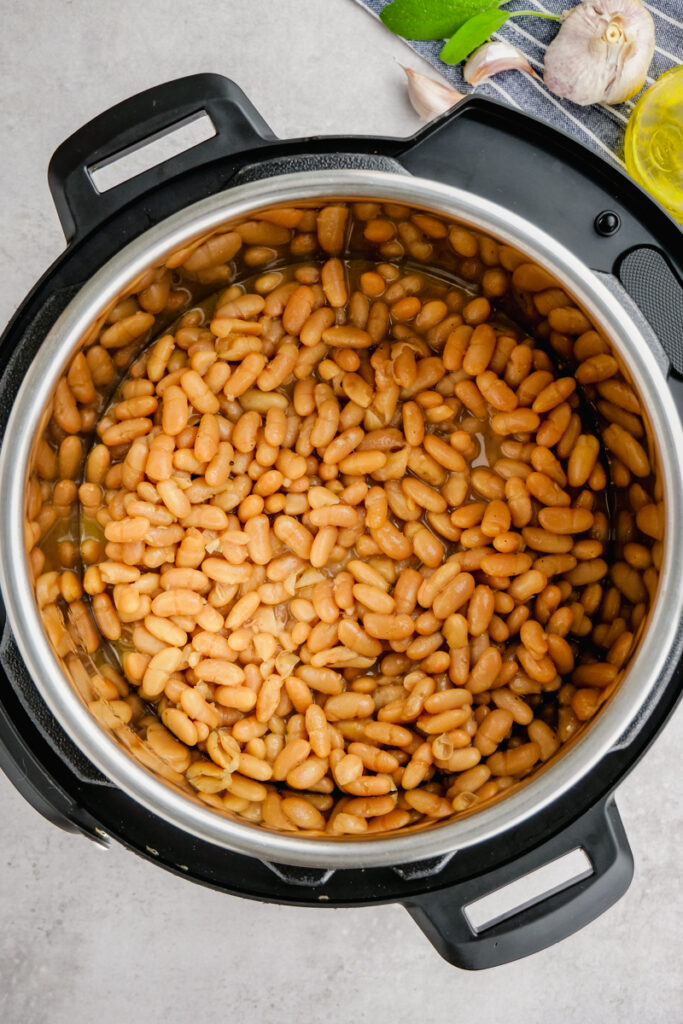 instant pot beans cooked from dry
