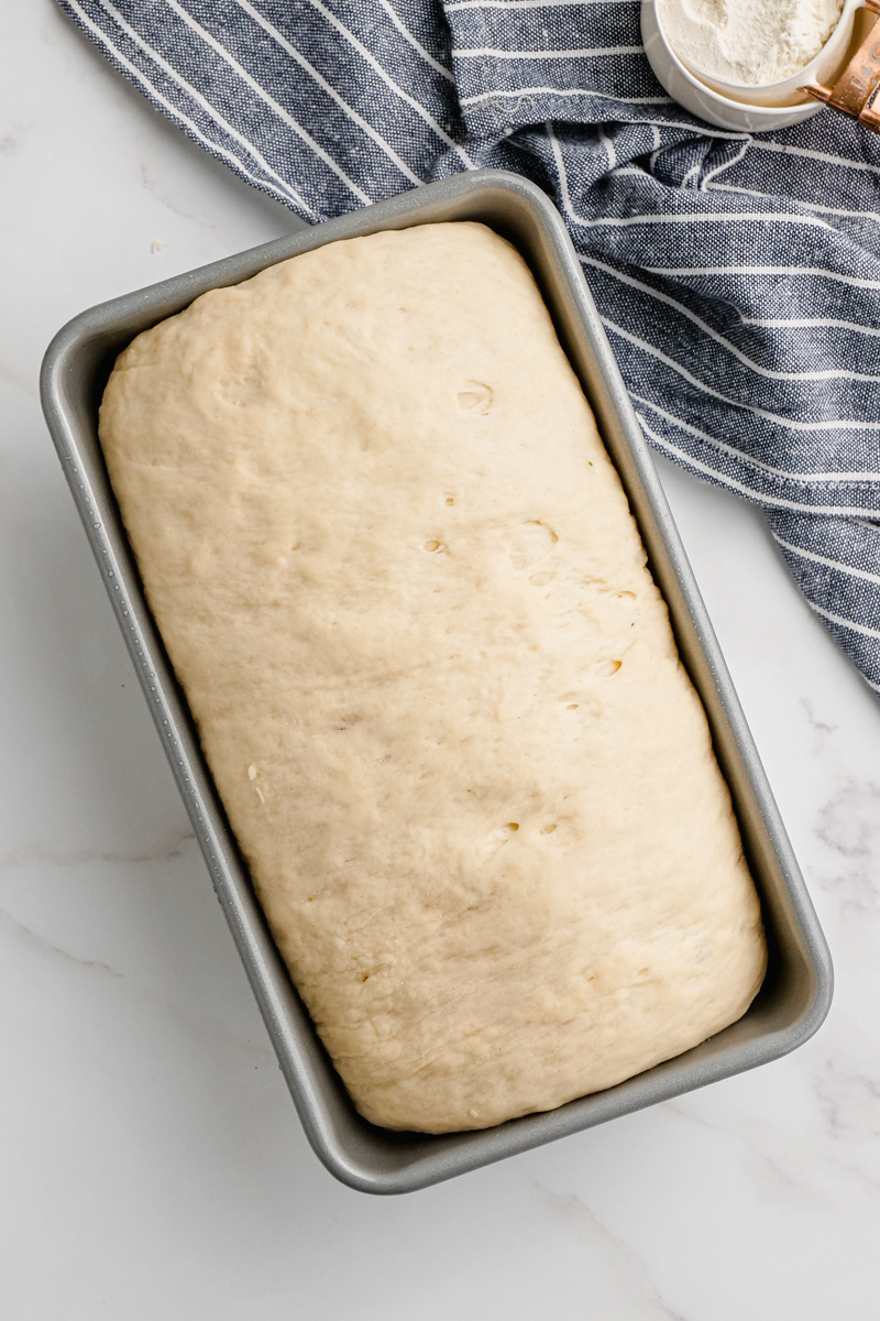Let dough rise to an inch above the pan.
