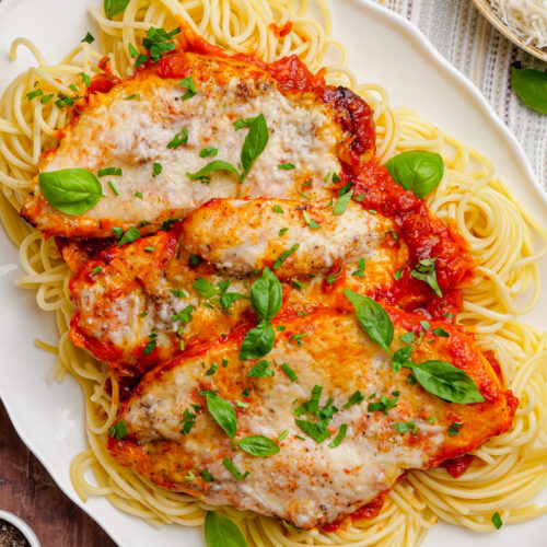 chicken pomodoro on a white platter