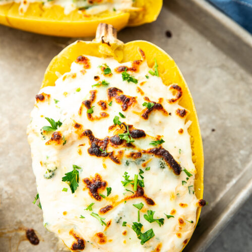 Broccoli chicken alfredo stuffed spaghetti squash on a baking sheet, garnished with parsley