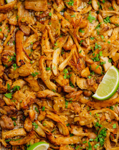 Instant Pot Chicken Carnitas