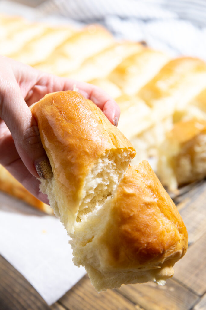 Light, fluffy, golden brown lion house rolls