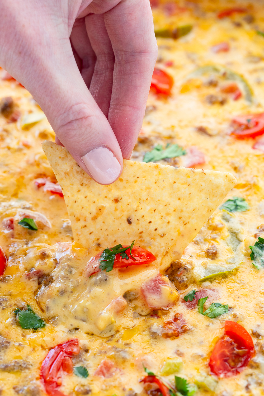 Smoked Queso Easy Peasy Meals