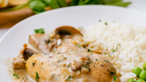 Easy to make chicken fricassee