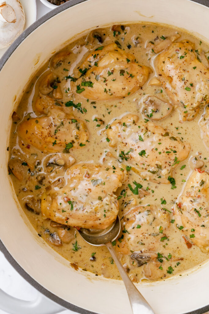 A dutch oven of chicken fricassee