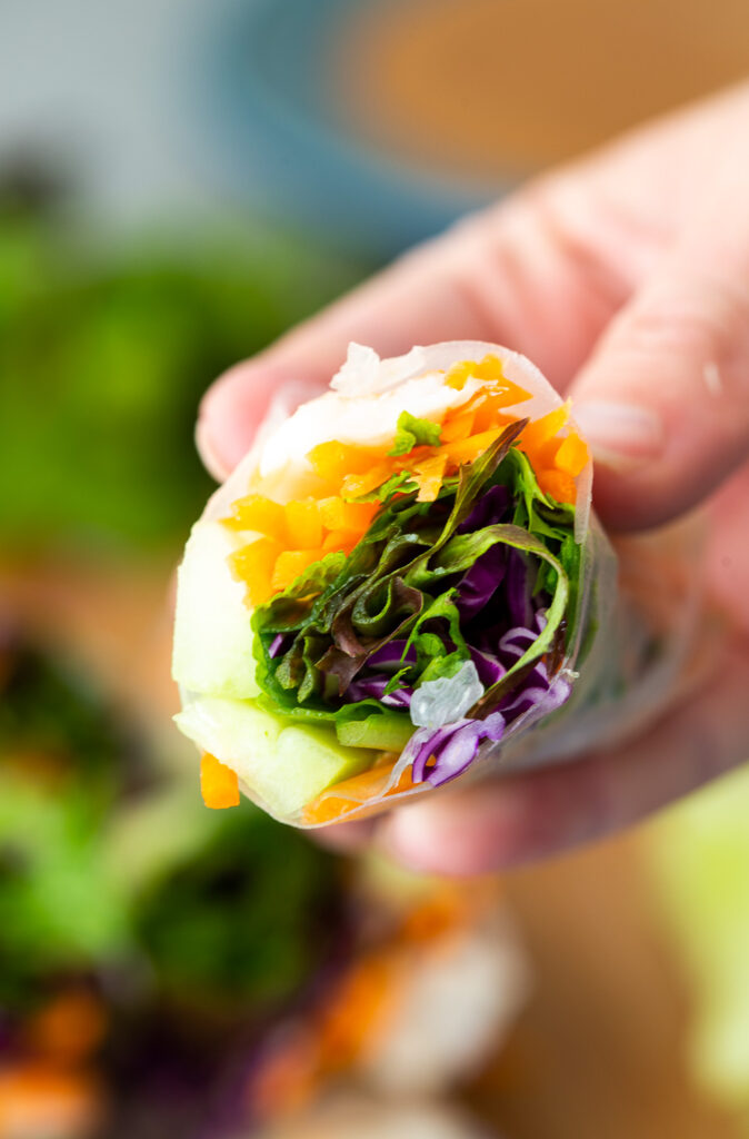 Delicious fresh spring rolls