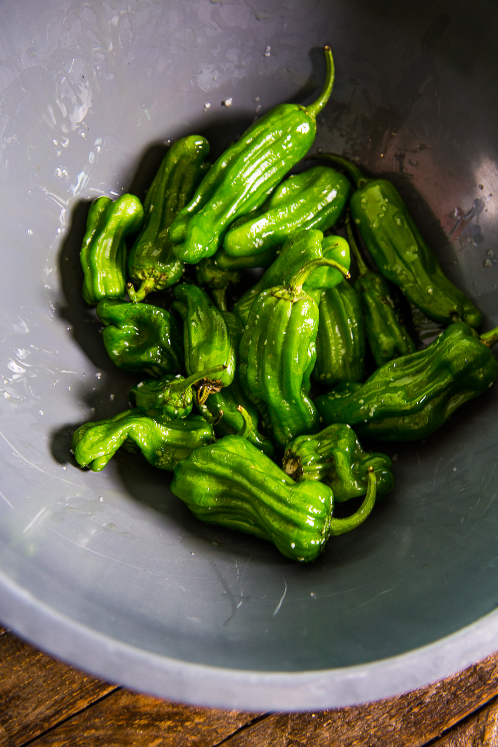 How to make shishito peppers as an appetizer at home