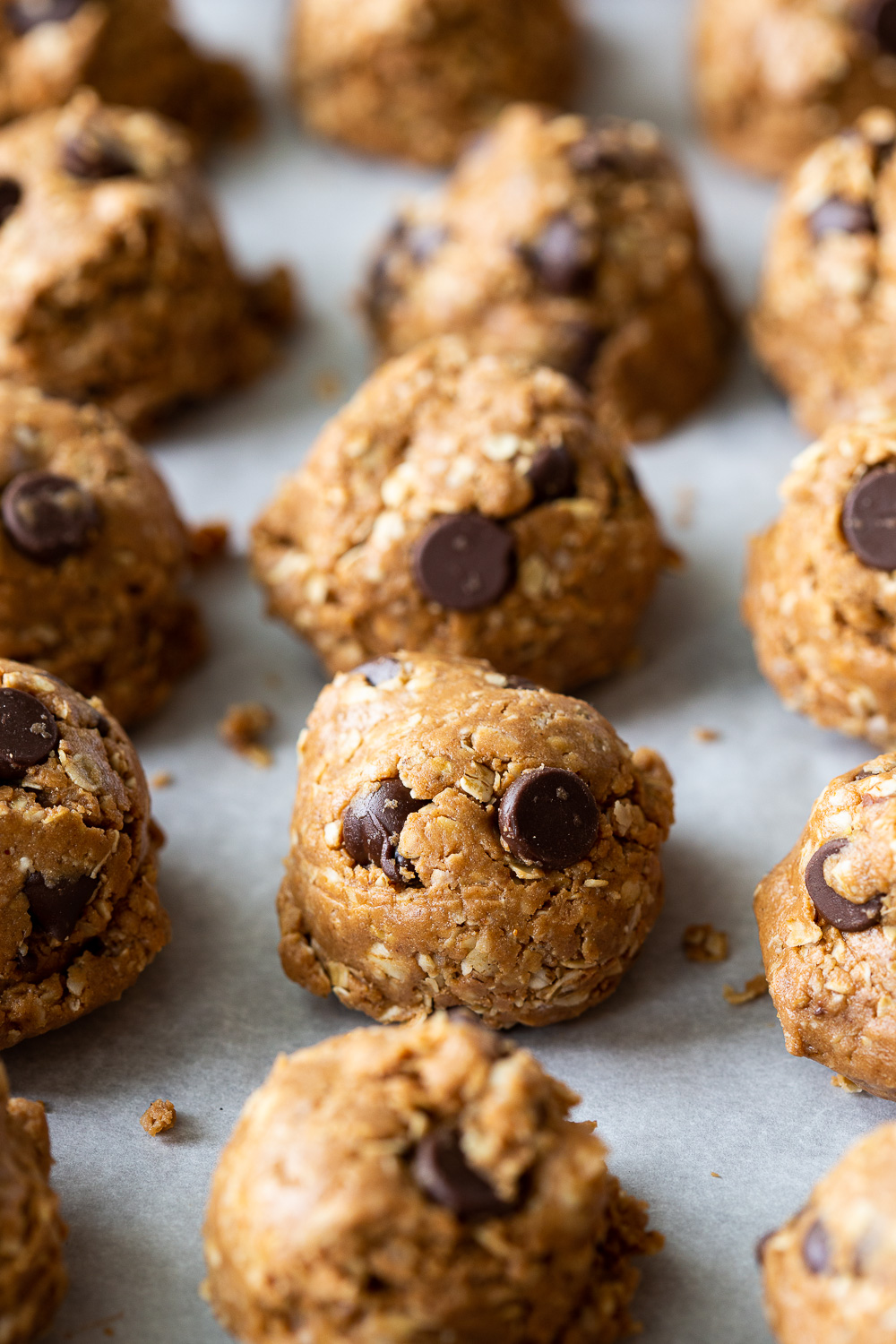 Chocolate Peanut Butter Protein Balls