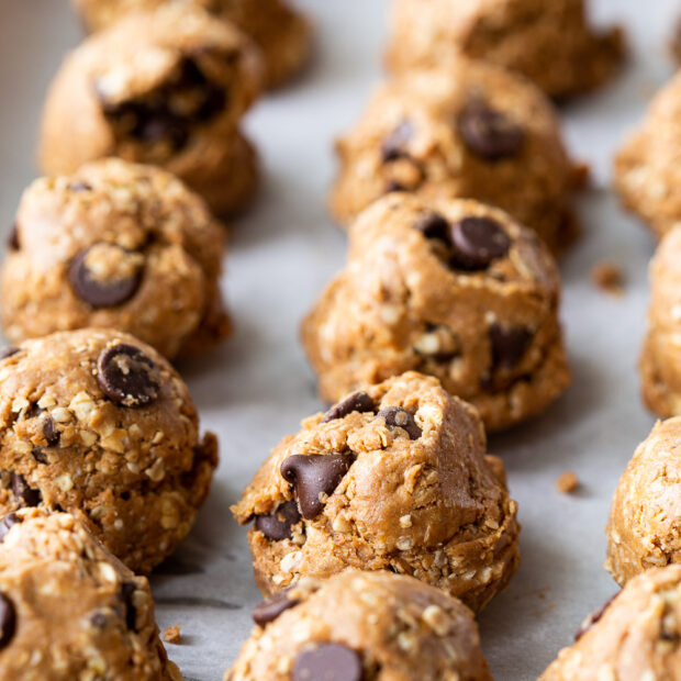 Chocolate Peanut Butter Protein Balls, a delicious snack ball made with oats, peanut butter, honey, vanilla, salt, and chocolate chips, and refrigerated for consumption.