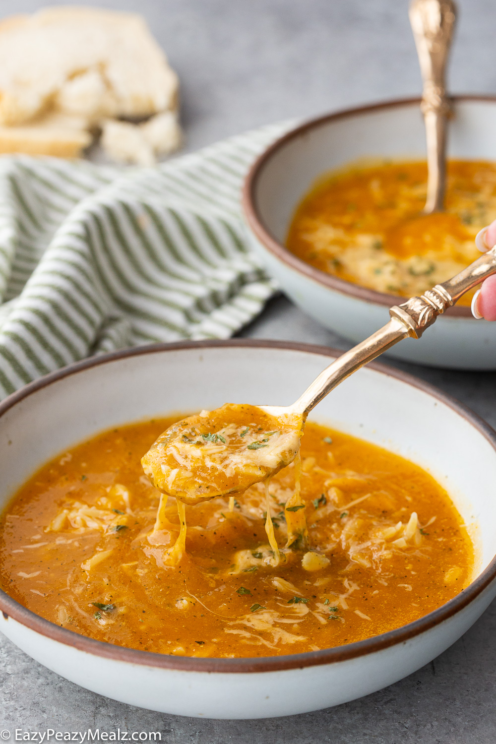 Italian Orzo Soup in a bowl 