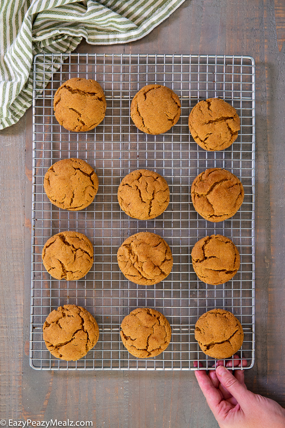 Gingerdoodles, a delightful twist on a ginger snap and snickerdoodle, this Christmas cookie is soft, chewy, and delicious, plus super easy to make. 