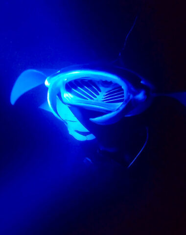 Manta ray night snorkel tour in Hawaii