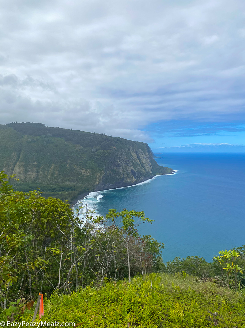 Waipioa Valley Overlook