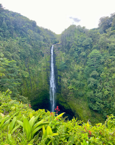 Akaka Loop Trail on the big island of Hawaii