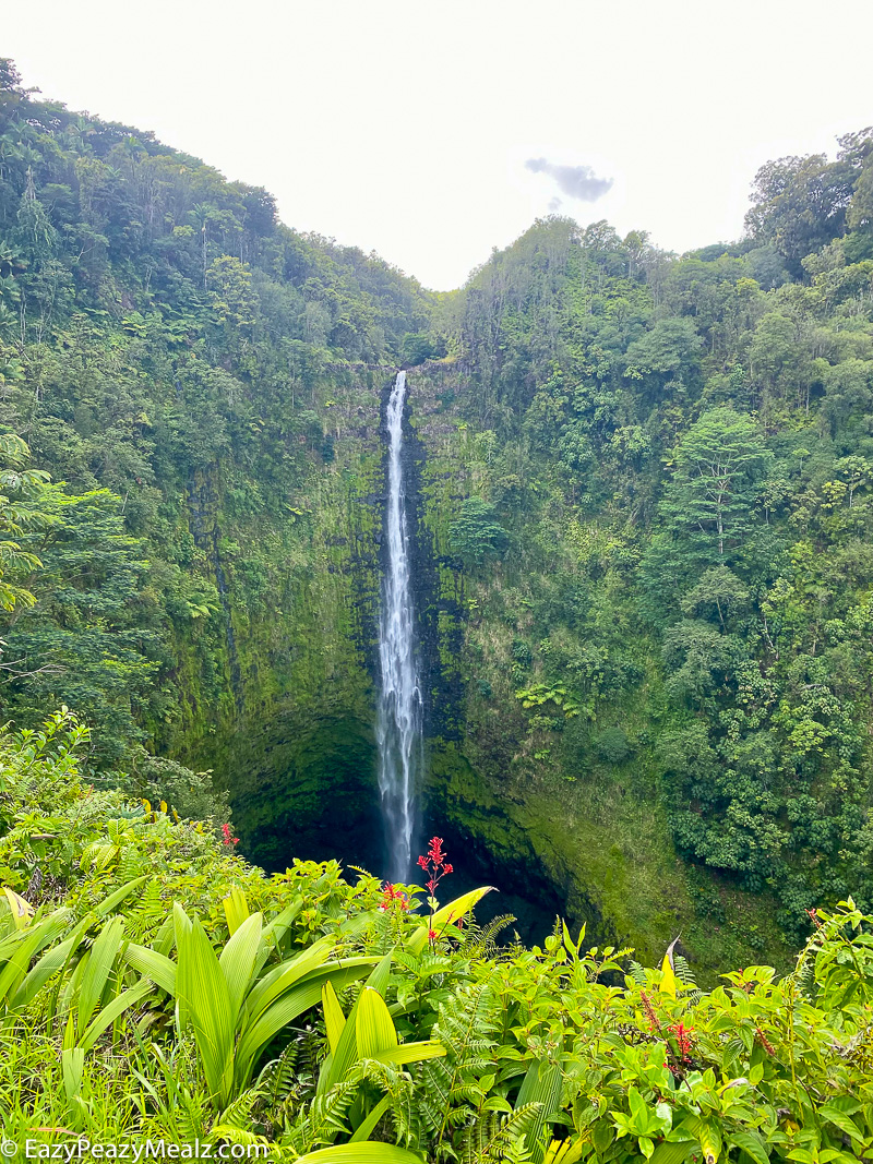 Akaka Loop Trail on the big island of Hawaii