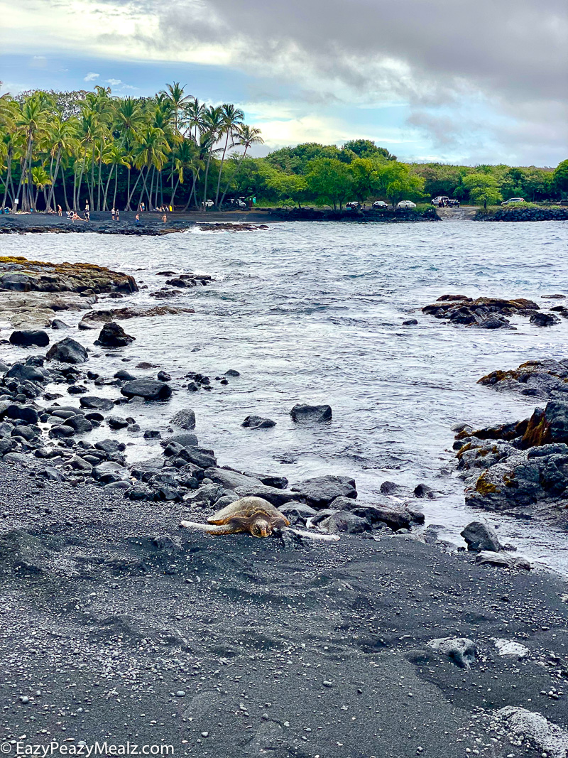 Black sands beach Punaluu on the Big Island of Hawaii