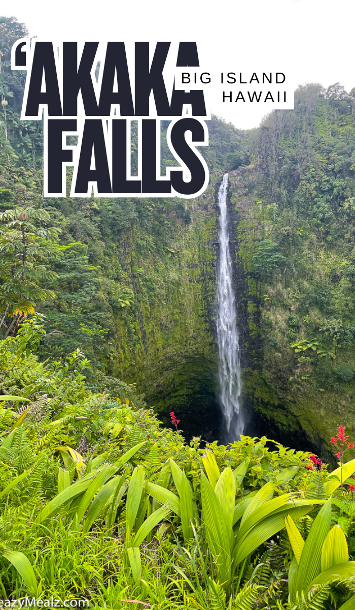 Akaka Falls, Big Island of Hawaii, near Hilo 