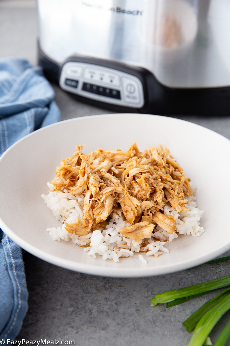 Slow cooker honey garlic chicken