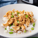 Slow cooker honey garlic chicken with rice and garnish