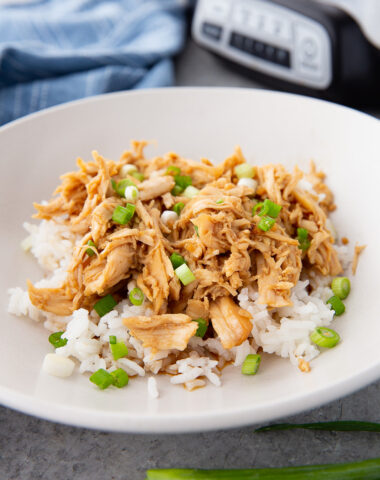 Slow cooker honey garlic chicken with rice and garnish