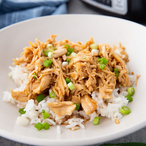 Slow cooker honey garlic chicken with rice and garnish