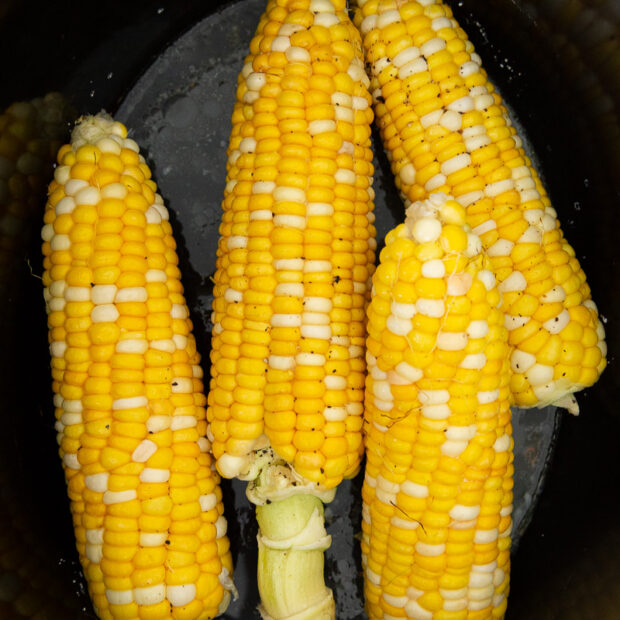 Slow Cooker Corn on the cob