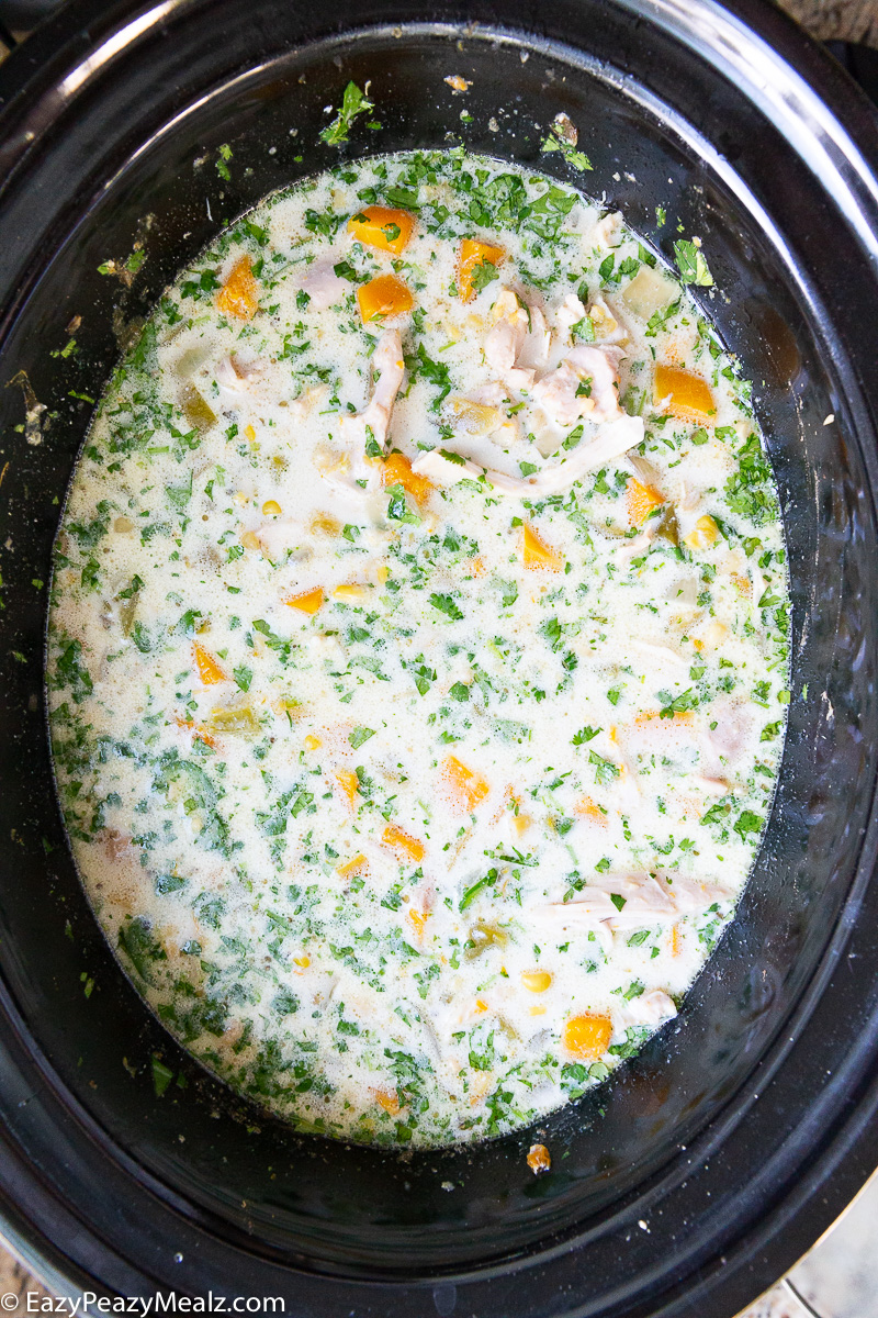 Slow cooker butternut squash white chicken chili