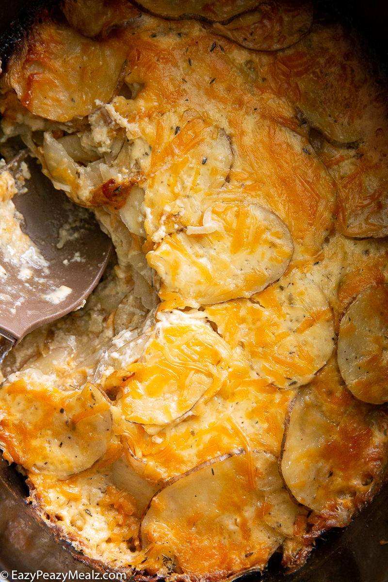 Slow cooker scalloped potatoes.